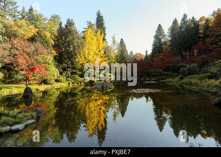 Plein de belles couleurs d'automne au jardin japonais, Seattle Washington Banque D'Images