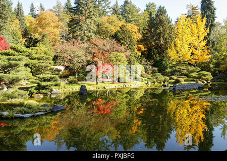 Plein de belles couleurs d'automne au jardin japonais, Seattle Washington Banque D'Images