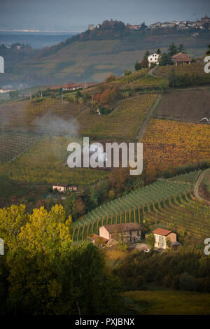 À l'ouest de Monforte d'Alba, Cuneo, dans le Piémont, Italie sur les collines et vignobles Banque D'Images