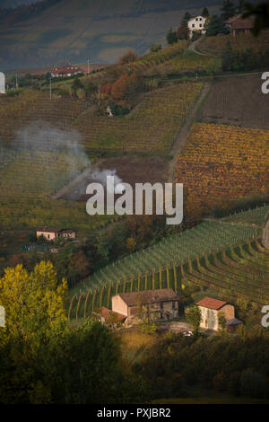 À l'ouest de Monforte d'Alba, Cuneo, dans le Piémont, Italie sur les collines et vignobles Banque D'Images