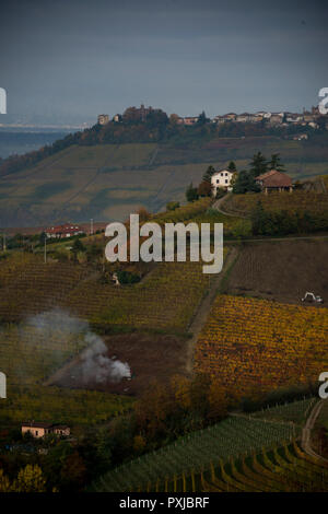 À l'ouest de Monforte d'Alba, Cuneo, dans le Piémont, Italie sur les collines et vignobles Banque D'Images