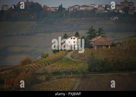 À l'ouest de Monforte d'Alba, Cuneo, dans le Piémont, Italie sur les collines et vignobles Banque D'Images