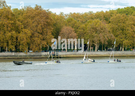 Londres, Royaume-Uni, 23 octobre 2018 à Dingies sur la Tamise près de Albert Bridge. Credit : JOHNNY ARMSTEAD/Alamy Live News Banque D'Images