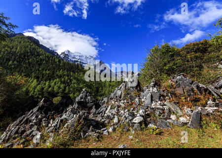 Le Sichuan, Shanghai, Chine. 23 Oct, 2018. Le Sichuan, Chine-Yading est un niveau national réserver dans Daocheng County, au sud-ouest d'ChinaÃ », de la province du Sichuan. Crédit : SIPA Asie/ZUMA/Alamy Fil Live News Banque D'Images