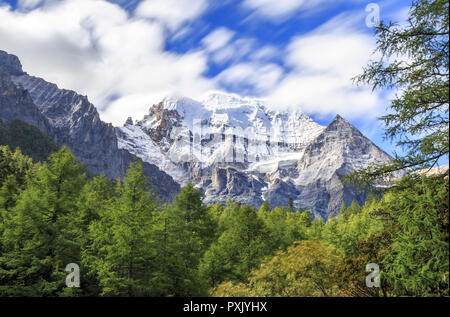 Le Sichuan, Shanghai, Chine. 23 Oct, 2018. Le Sichuan, Chine-Yading est un niveau national réserver dans Daocheng County, au sud-ouest d'ChinaÃ », de la province du Sichuan. Crédit : SIPA Asie/ZUMA/Alamy Fil Live News Banque D'Images