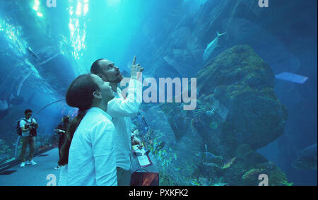 Teenage girl with Dad admirer la vie marine dans le tunnel de verre de l'aquarium de Dubai Mall Banque D'Images