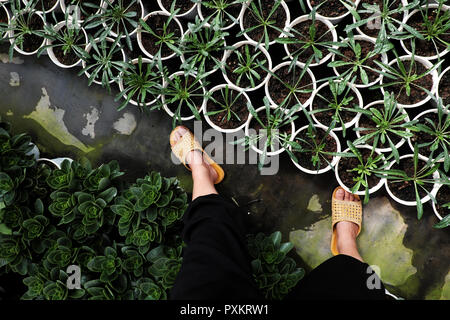 Scène Vue de haut avec femme porter un pantalon noir et jaune sandales en plastique à pied dans le jardin de fleurs, les pieds sur terre, plante à pousser en vert Banque D'Images
