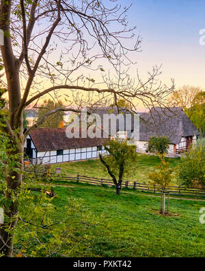 Fermes avec un toit de chaume sur une grande ferme à Schwerin, Mecklembourg-Poméranie-Occidentale Banque D'Images