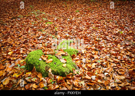 Orange et vert Banque D'Images