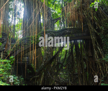 Célèbre dragon bridge à Monkey Forest Sanctuary à Ubud, Bali, Indonésie Banque D'Images