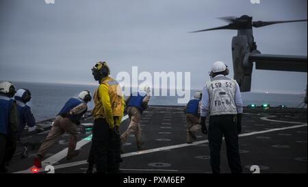 Océan Pacifique - Marines au combat, cargo, 15e Marine Expeditionary Unit et les marins affectés au service du pont à bord du USS Pearl Harbor (LSD 52) exécuter pour supprimer les chaînes de sécurité d'un MV-22B Balbuzard pêcheur sur le pont d'envol du navire au cours de l'exercice de certification, le 5 juin 2017. L'interopérabilité est une compétence essentielle de l'équipe bleu-vert doit avoir des opérations pendant le déploiement. CERTEX est la dernière d'une série d'exercices de formation, qui certifie la MEU-ARG équipe capable d'un déploiement à l'appui de la flotte et les commandants de combat dans toute la gamme des opérations militaires. Banque D'Images