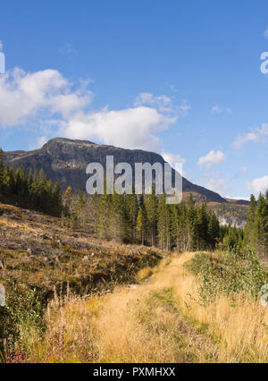 Chemin de randonnée à travers un paysage ouvert, panorama vues à Hemsedal vallée de montagne en Norvège, enrichi par le beau automne colous en septembre Banque D'Images