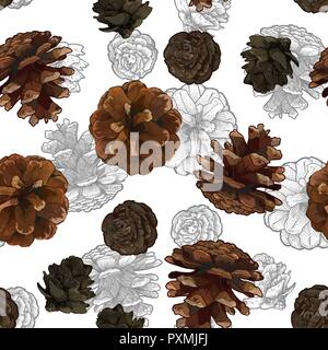Cônes de pin seamless pattern isolated on white bacground. Illustration de Vecteur