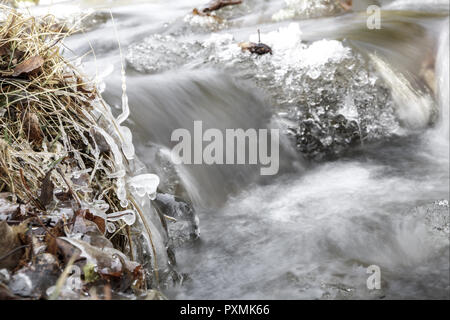 Europa, Slovaquie, VysokÈ Tatry, Hohe Tatra, Slovaquie, République Slovaque, Natur, vereist, Détail, Bach, Gewaesser, Gewässer, eisig, EIS, Kaelte, Käl Banque D'Images