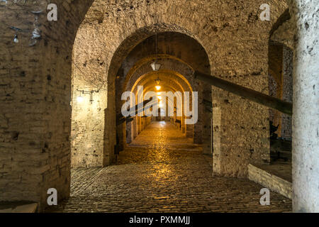 Waffen im Militärmuseum iin der Burg von Gjirokastra, Albanien, Europa | armes au musée militaire à l'intérieur du château de Saranda, Albanie, de l'Union européenne Banque D'Images