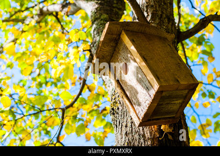 Les cabanes comme celle-ci vous pouvez trouver beaucoup de Lituanie. Peuple lituanien aime la nature, la faune et la flore. Ils se soucient de l'harmonie entre l'homme et la na Banque D'Images