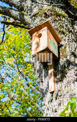 Les cabanes comme celle-ci vous pouvez trouver beaucoup de Lituanie. Peuple lituanien aime la nature, la faune et la flore. Ils se soucient de l'harmonie entre l'homme et la na Banque D'Images