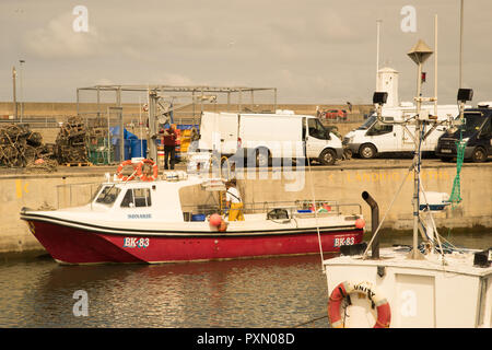 Le déchargement des captures d'un bateau de pêche au port de Seahouses, Northumberland, England Banque D'Images