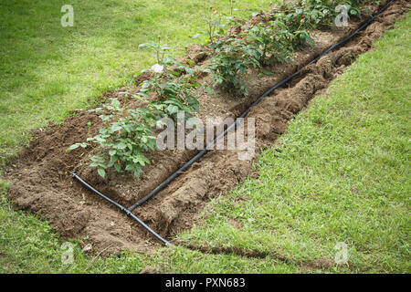 Les tuyaux suintants installé dans des tranchées pour l'eau de l'irrigation pour un lit de fleurs de jardin Banque D'Images