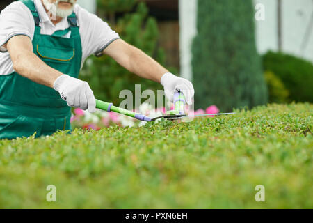 Close up of male gardener main tenant des ciseaux et de couper l'herbe près de house. Bel homme vêtu de vêtements de travail spécial à l'aide de gants et bonnet blanc léger, travaillant dans le jardin avec des plantes. Banque D'Images