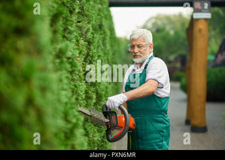 Plus beau cèdre blanc de fraisage à l'aide jardinier taille-haie de patrouille dans le jardin. Gai homme barbu aux cheveux gris vert spécial porte dans des combinaisons et des lunettes de protection, la coupe d'arbustes près de house. Banque D'Images