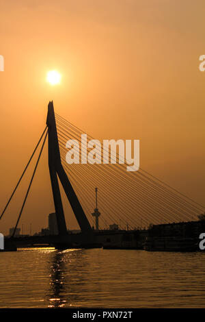 Silhouette de Pont Erasmus à Rotterdam (Erasmusbrug) pointant vers le soleil Banque D'Images