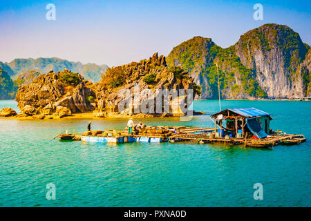 Village flottant dans la baie d'Halong, Vietnam Banque D'Images