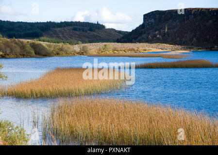 Vue panoramique sur le lac Lough Navar dans Meenameen dans Forêt Co. fermanagh, Irlande du Nord Banque D'Images