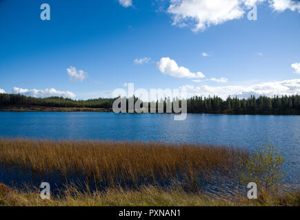 Vue panoramique sur le lac Lough Navar dans Meenameen dans Forêt Co. fermanagh, Irlande du Nord Banque D'Images