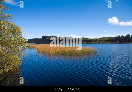 Vue panoramique sur le lac Lough Navar dans Meenameen dans Forêt Co. fermanagh, Irlande du Nord Banque D'Images