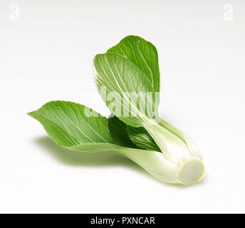 pak choi Banque D'Images