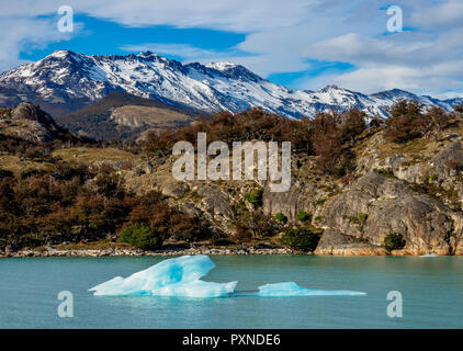 Iceberg sur le lac Argentino, le Parc National Los Glaciares, Province de Santa Cruz, Patagonie, Argentine Banque D'Images