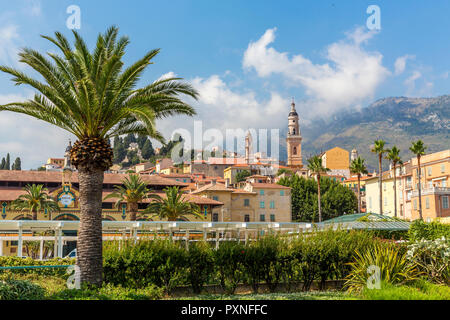 Blick auf die Altstadt mit der Kathedrale Saint-Michel, Menton, Côte d'Azur, Französische Riviera, Frankreich Banque D'Images