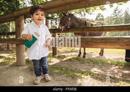 Sourire tout-petit holding up aliments pour animaux âne dans wild park Banque D'Images