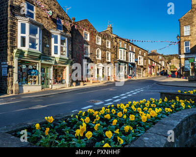 Pensées d'hiver en fleur et des magasins sur la rue principale au nord Yorkshire Angleterre Campsites Canet-en-Roussillon Banque D'Images