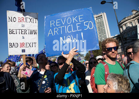 Le vote du peuple de mars pour l'avenir le 20 octobre 2018 à Londres, Royaume-Uni. Plus de 500 000 personnes ont marché sur le Parlement pour exiger leur voix démocratique d'être entendu dans le cadre d'une manifestation présentée comme la manifestation la plus importante d'une génération. Comme la date de la UK's Brexit en provenance de l'Union européenne, les manifestants se sont réunis à leurs dizaines de milliers de dirigeants politiques prendre connaissance et de donner à l'opinion publique britannique un vote final sur l'affaire. Brexit Banque D'Images