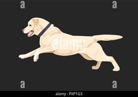 Chien Labrador tourne heureusement. Labrador retriever avec col isolé sur fond sombre. Illustration de Vecteur