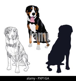 Swiss Mountain dog dans trois styles différents. Chien de race assis isolé sur fond blanc. Illustration de Vecteur