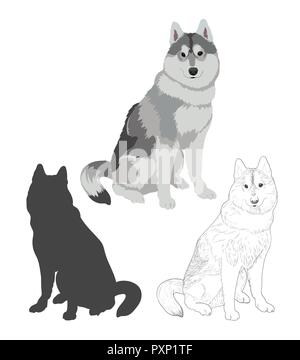 Chien Husky dans trois styles différents. Chien de race assis isolé sur fond blanc. Illustration de Vecteur