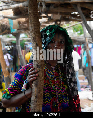 Portrait de Mbororo tatoué aka Wodaabes tribu femme - 01-03-2014 Poli, Cameroun Banque D'Images