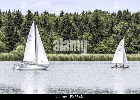 Voiliers sur le lac de Chiemsee, Chiemgau, Upper Bavaria, Bavaria, Germany, Europe Banque D'Images