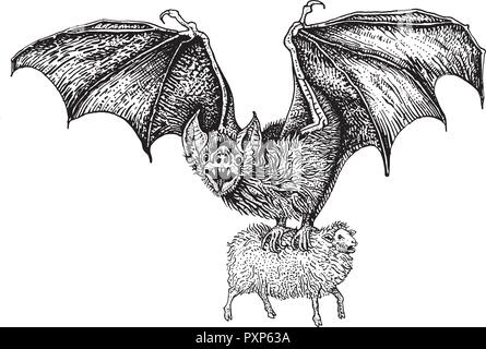 Chauve-souris vampire géant volant pris un mouton. Hand drawn vintage style gravure illustration vecteur noir sur fond blanc. Sticker, poster, t shirt pr Illustration de Vecteur