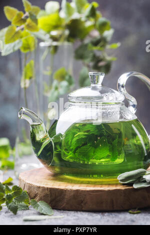 Sex herbal sédatif le thé à la menthe verre dans une théière en verre sur plateau en bois avec des feuilles de sauge et menthe du jardin sur fond gris Banque D'Images