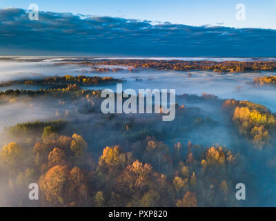 Vue aérienne de brouillard en automne, la Lituanie Banque D'Images