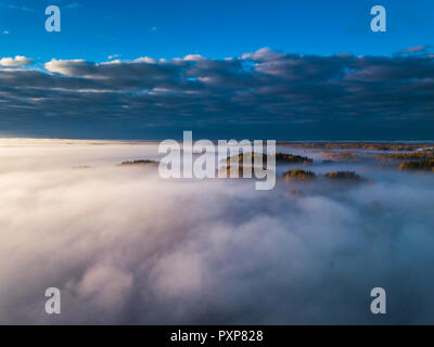 Vue aérienne de brouillard en automne, la Lituanie Banque D'Images