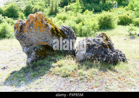 Phénomène naturel champignons en pierre situé près de la route entre en Bulgarie Banque D'Images