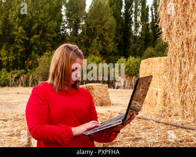 Un entrepreneur jeune femme travaillant dans une ferme en plein air avec un ordinateur portable sur une balle de foin Banque D'Images