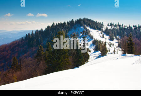 Une colline couverte de neige sur l'historique de la chaîne des Carpates et une forêt d'épinette avec Evergreen et de pins. La journée ensoleillée d'hiver glacial ; Banque D'Images