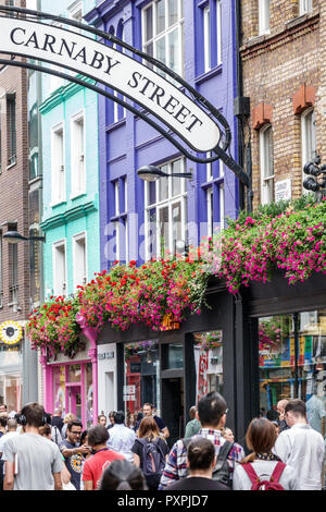 Londres Angleterre, Royaume-Uni, Royaume-Uni Grande-Bretagne, Soho Carnaby Street, rue commerçante piétonne seulement, jardinières de fleurs, hommes femmes acheteurs visiteurs Banque D'Images