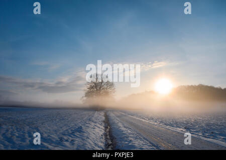 Paysage d'hiver avec une route de campagne et les champs agricoles couvertes de neige, au lever du soleil, sur un matin brumeux de février. Banque D'Images